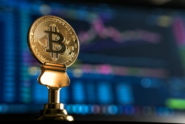 Bullrun 2023 sur le Bitcoin, une remontée des cryptos